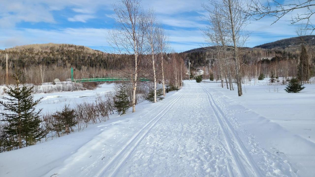 Condo-Chalet De La Vallee D'Edouard LʼAnse-Saint-Jean Zewnętrze zdjęcie