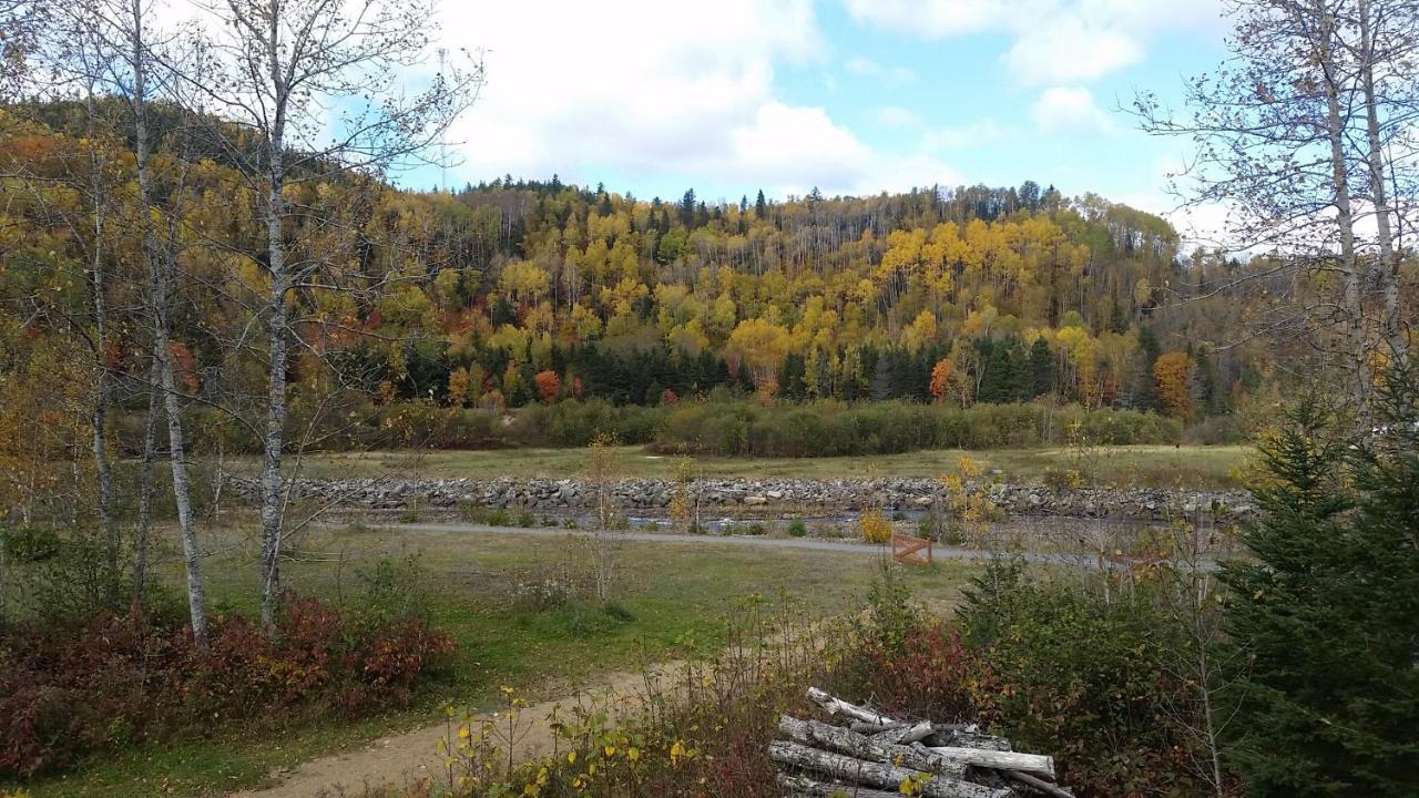 Condo-Chalet De La Vallee D'Edouard LʼAnse-Saint-Jean Zewnętrze zdjęcie