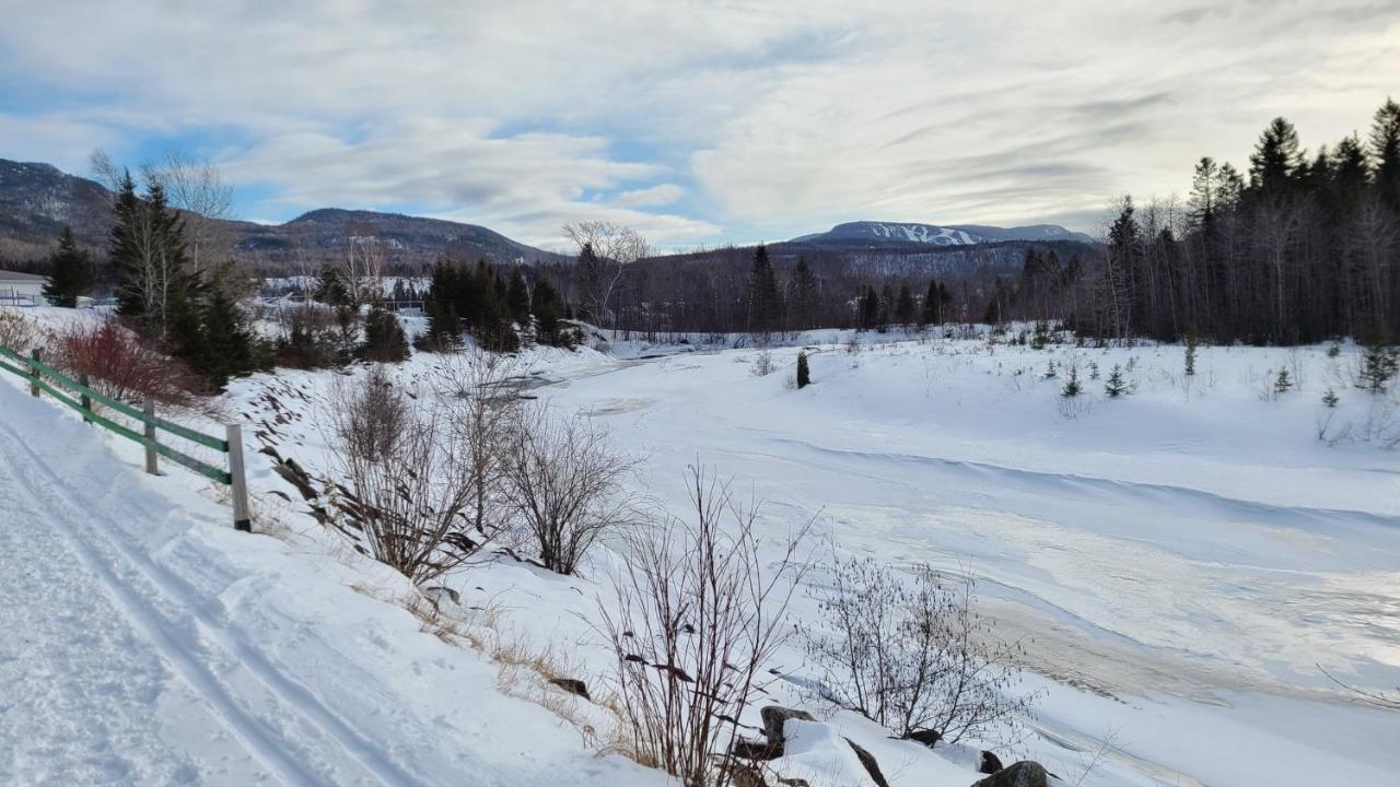 Condo-Chalet De La Vallee D'Edouard LʼAnse-Saint-Jean Zewnętrze zdjęcie