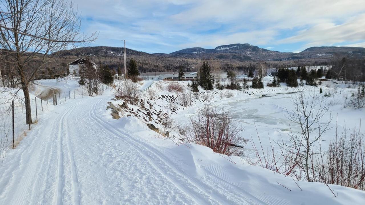 Condo-Chalet De La Vallee D'Edouard LʼAnse-Saint-Jean Zewnętrze zdjęcie
